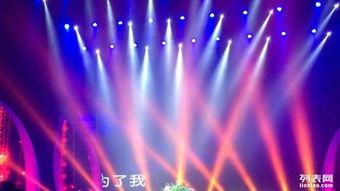 專業(yè)商業(yè)演出策劃與傳媒服務 一站式解決方案