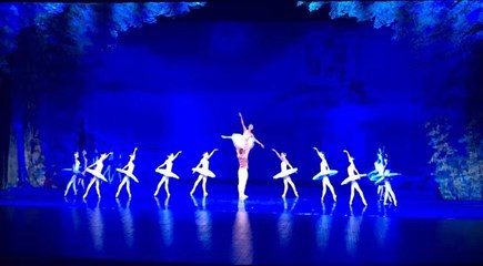 回顧與展望 河北省演出行業協會30周年座談會在石家莊聚焦營業性演出新篇章